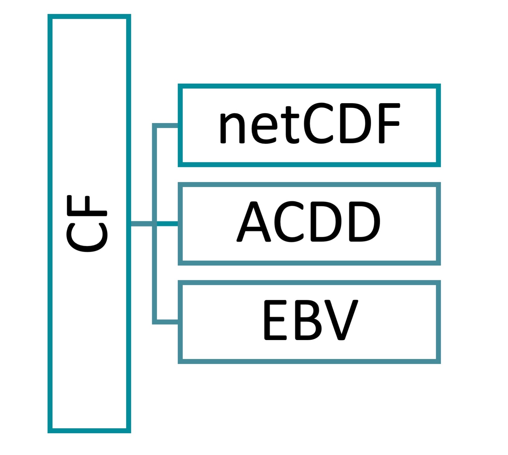 Core elements of the EBV netCDF