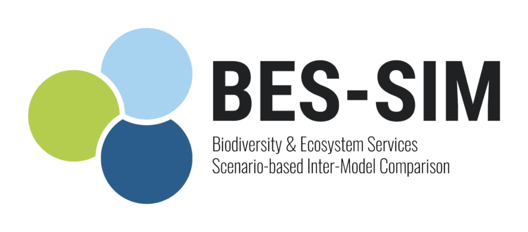 BES-SIM